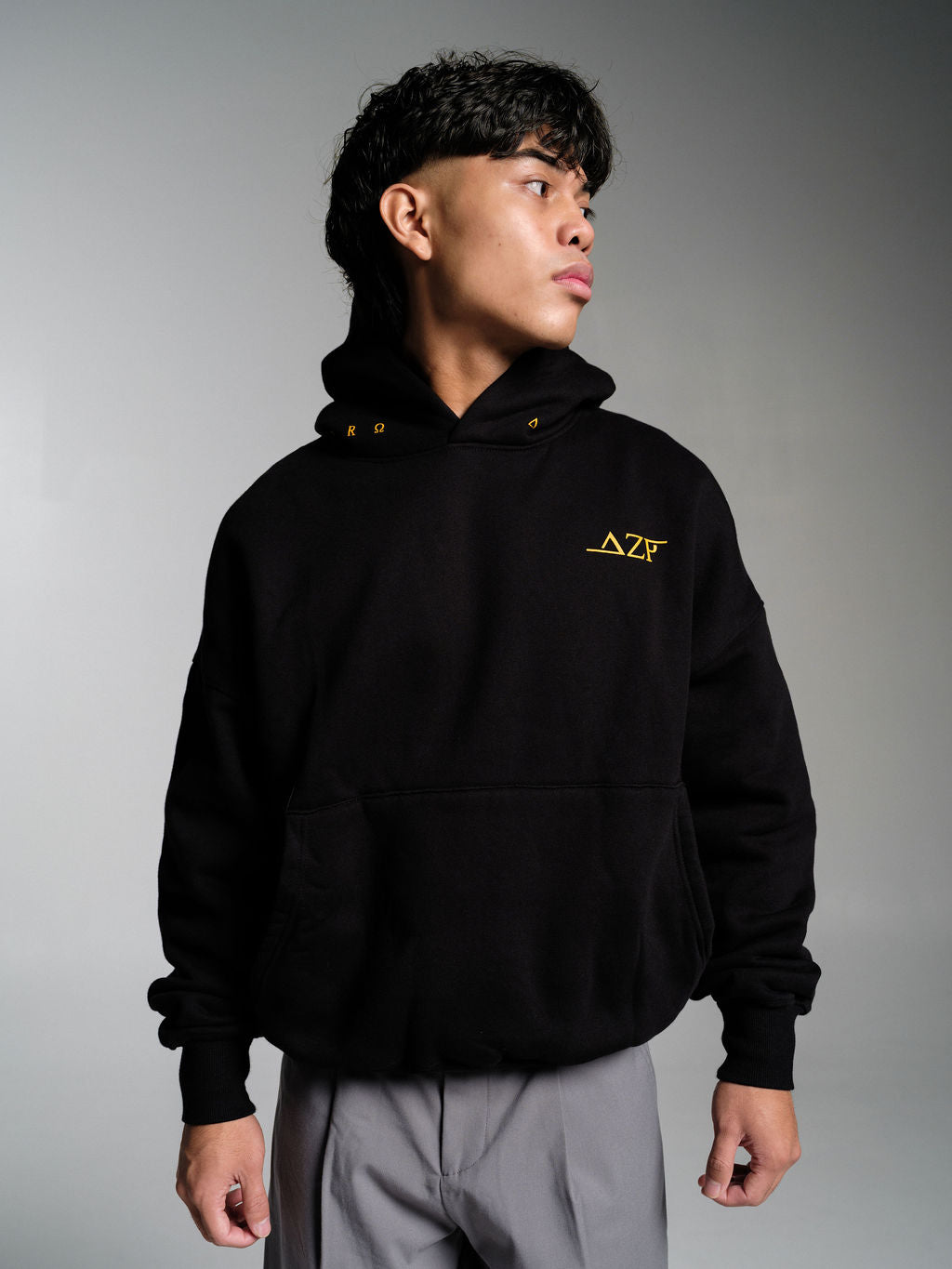 v2 Hoody (Black)