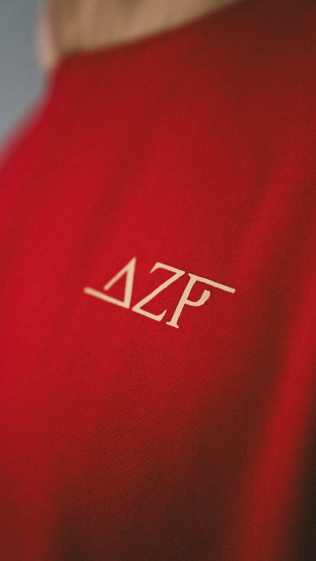 v2 Hoody