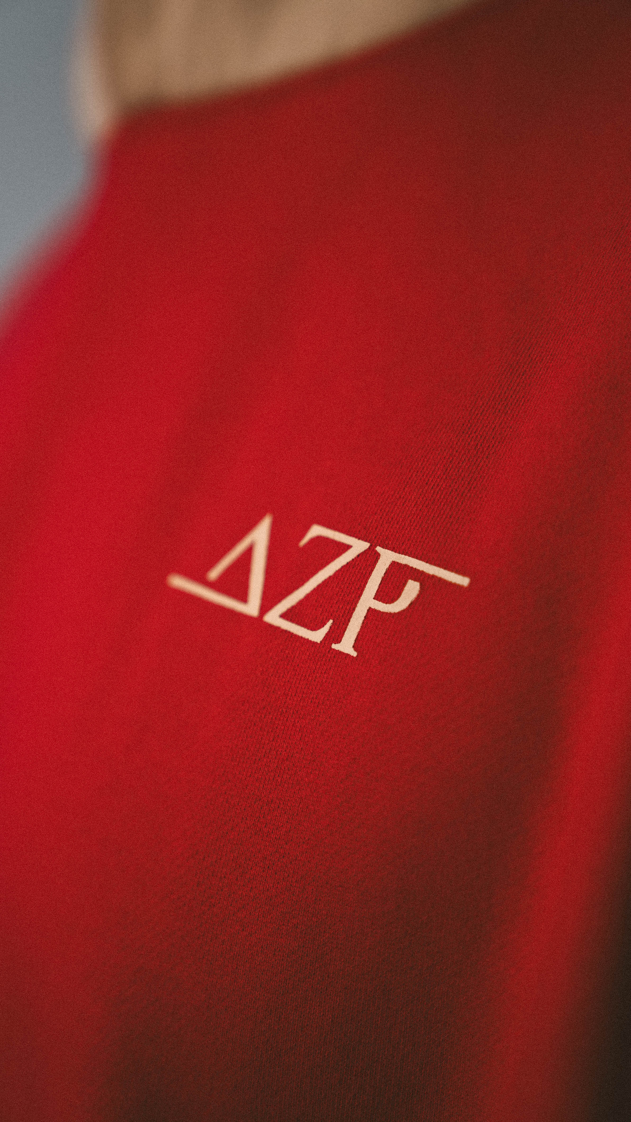 v2 Hoody