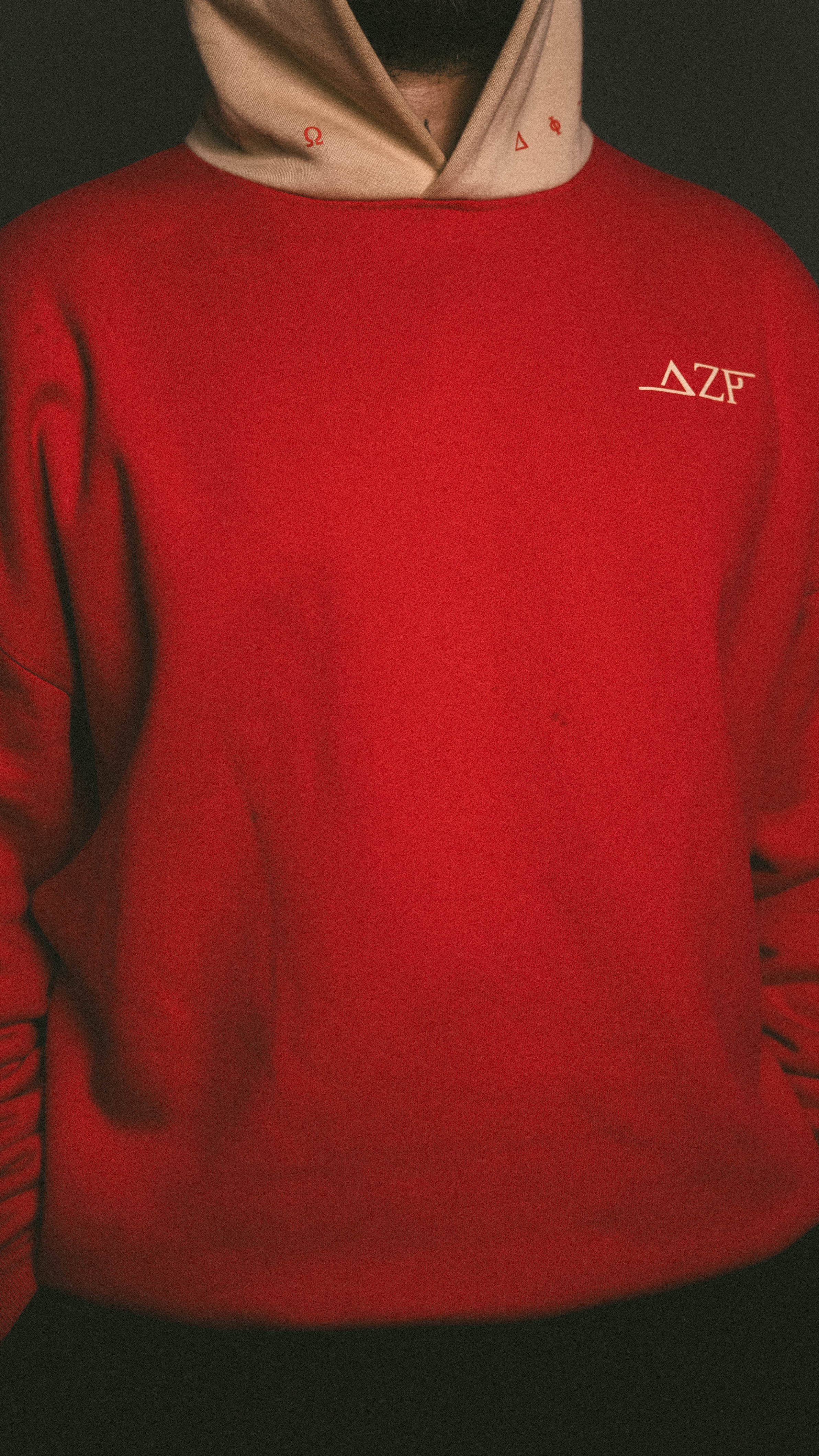 v2 Hoody