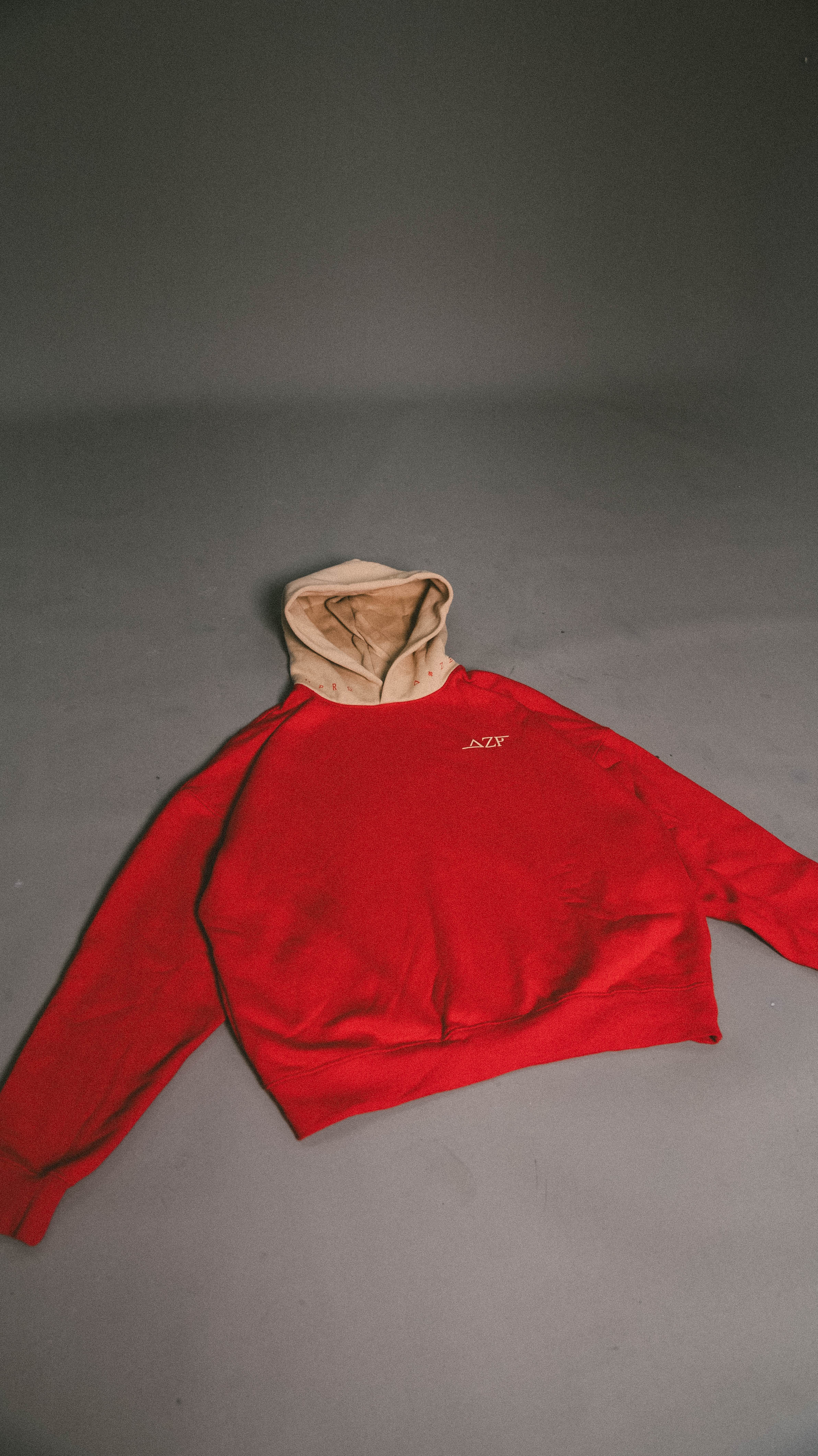 v2 Hoody